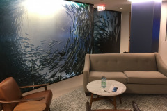 If you love to see fish in the ocean then this is the Privacy Film for you.