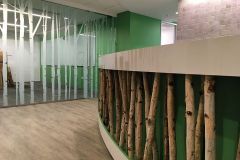 Our team installed this matching tree custom design to match the rest of the office!