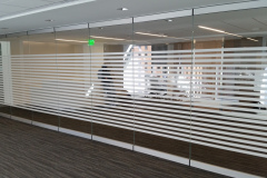 Privacy Window Film