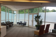 Window Privacy Film